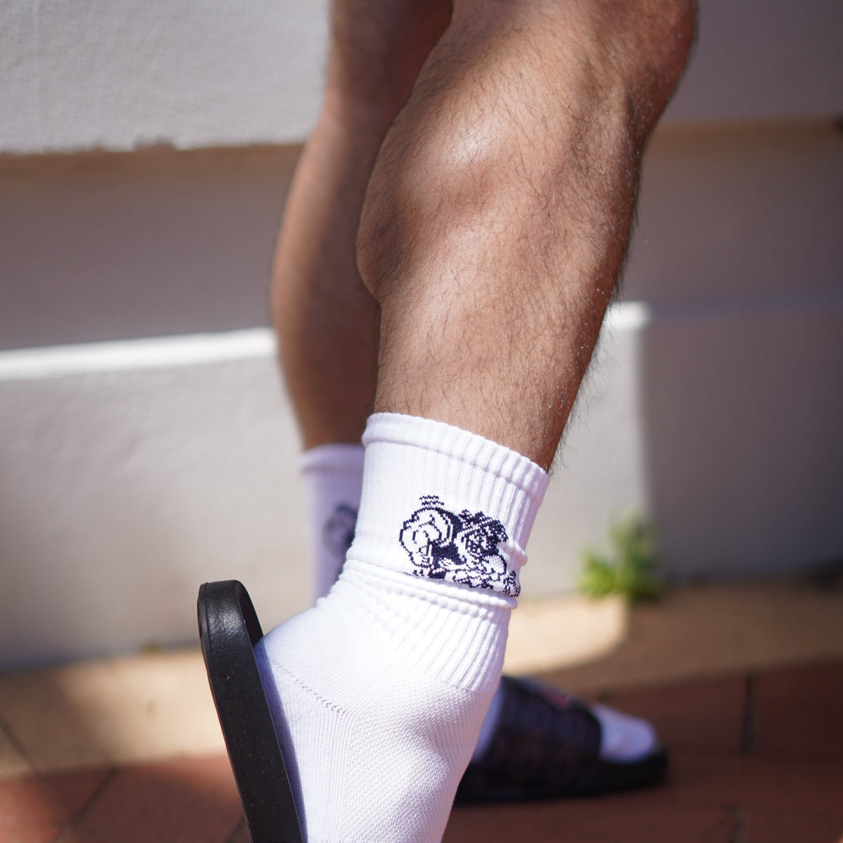 BackChat Socks - White